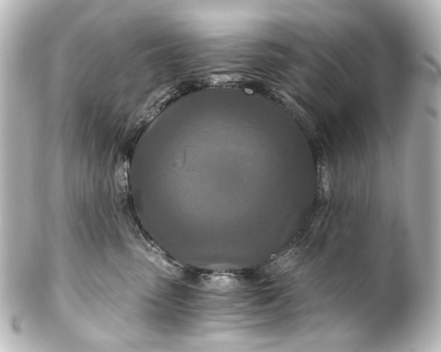 X0000101440475200807281027