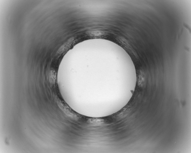 X0000101440476200807281027