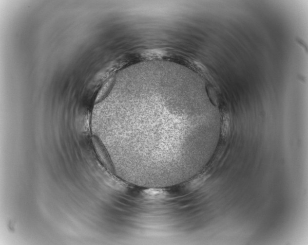 X0000101440477200807281027