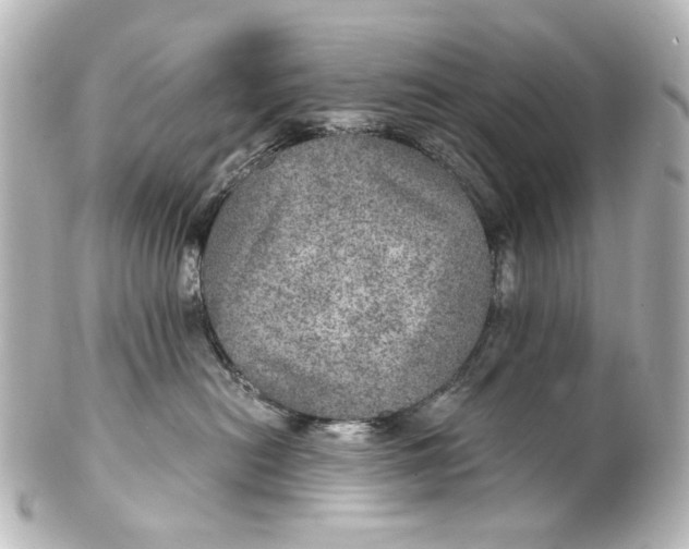 X0000101440478200807281027