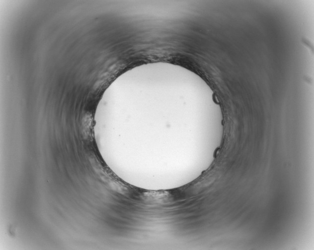 X0000101440480200807281027