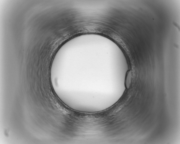 X0000101440481200807281026