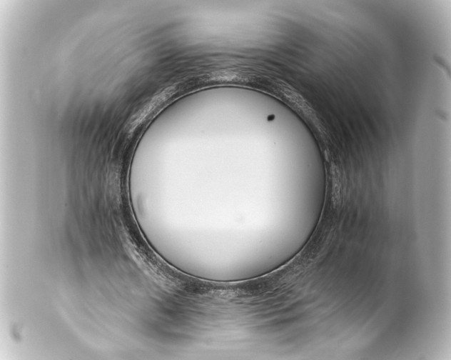 X0000101440482200807281026