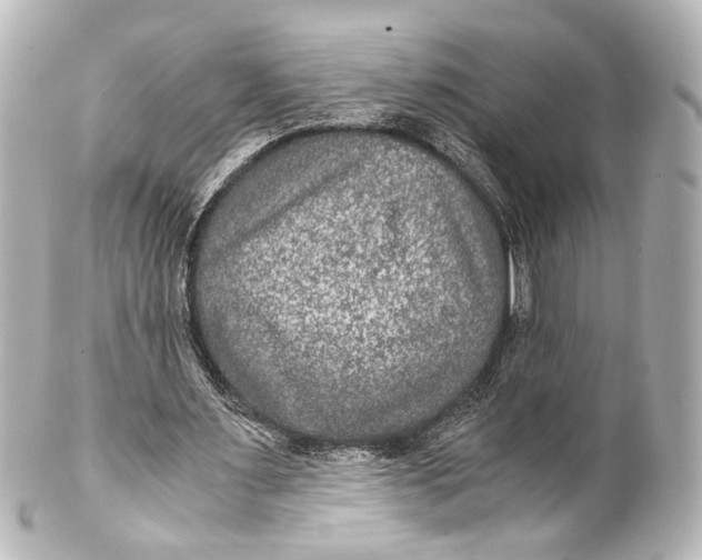 X0000101440483200807281026