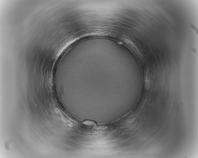 X0000101440484200807281026