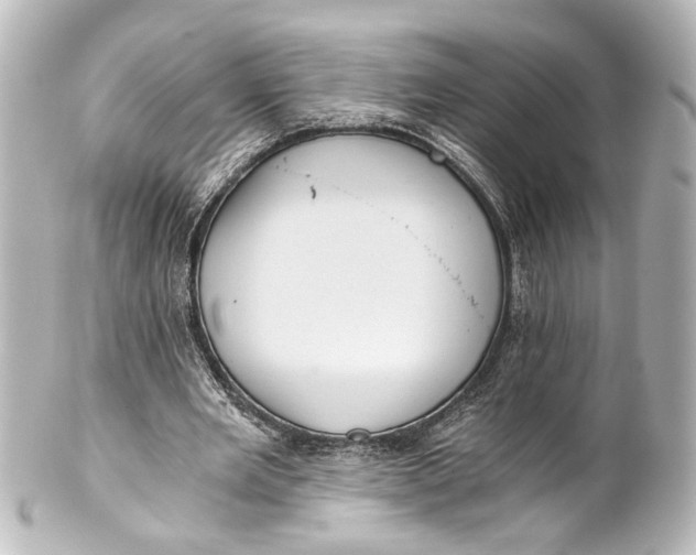 X0000101440485200807281026