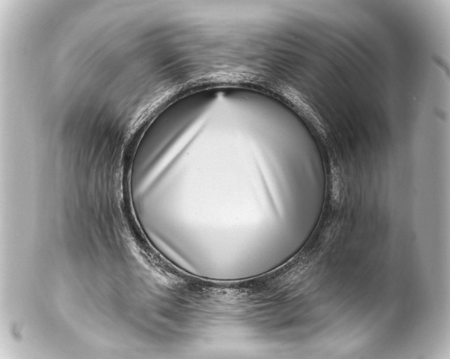 X0000101440486200807281026