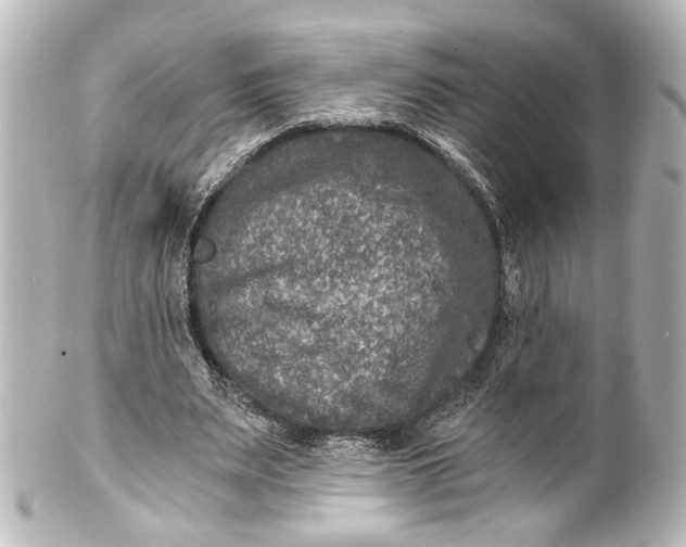 X0000101440487200807281026