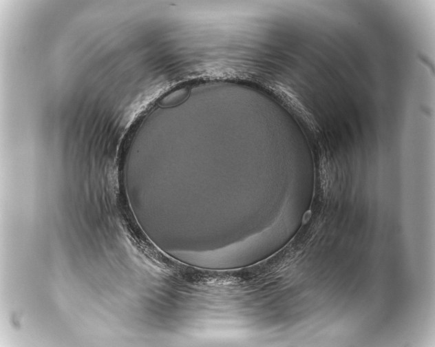 X0000101440488200807281026