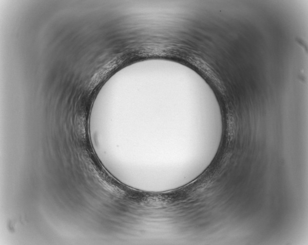 X0000101440489200807281026