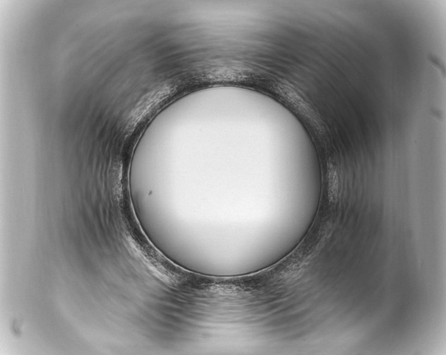 X0000101440490200807281026