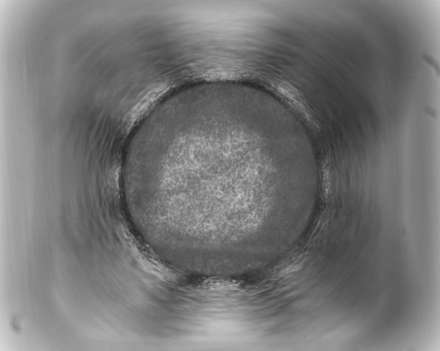 X0000101440491200807281026