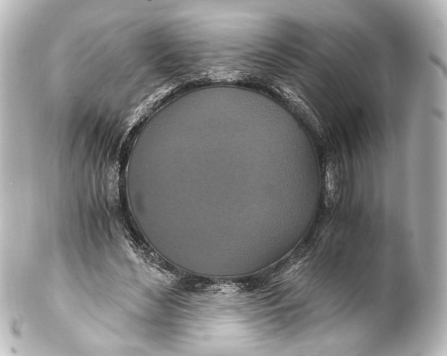 X0000101440492200807281026