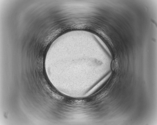 X0000101440493200807281026