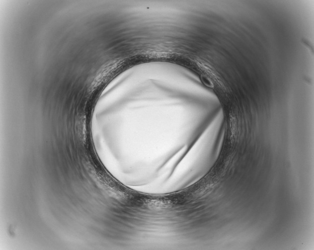 X0000101440494200807281026