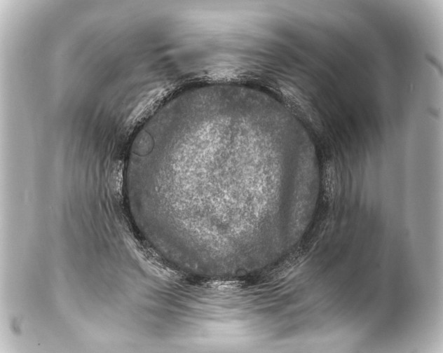 X0000101440495200807281026