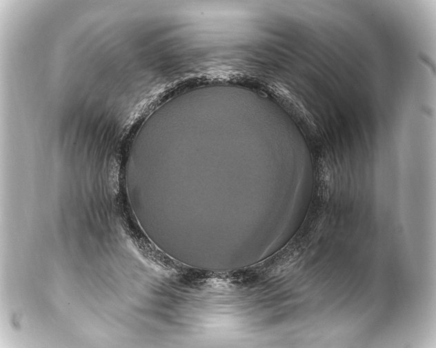 X0000101440496200807281026