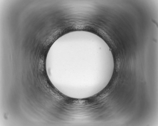 X0000101440497200807281026