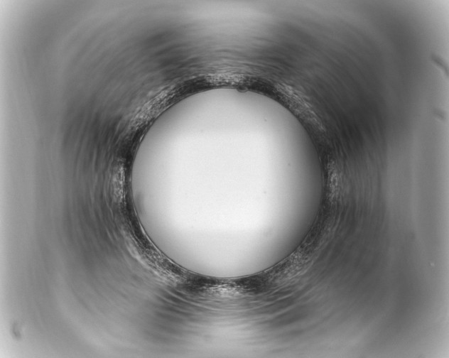 X0000101440498200807281026