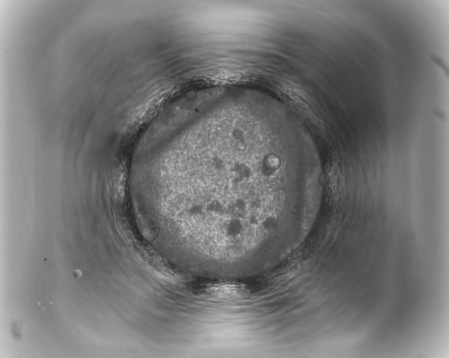 X0000101440499200807281026