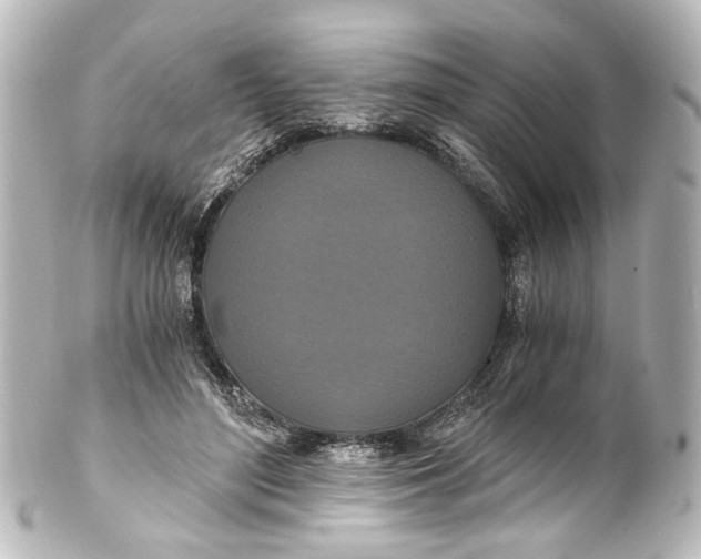 X0000101440500200807281026