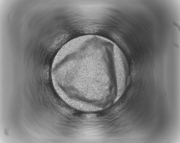 X0000101440501200807281026