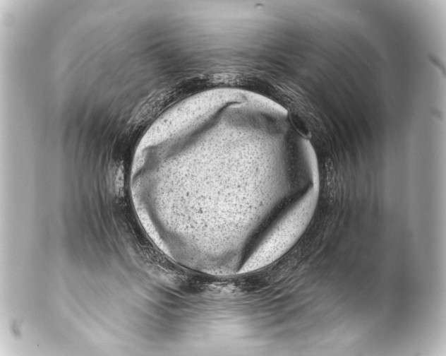 X0000101440502200807281026