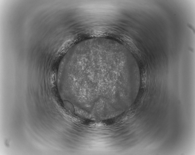 X0000101440503200807281026