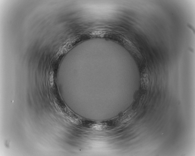 X0000101440504200807281026