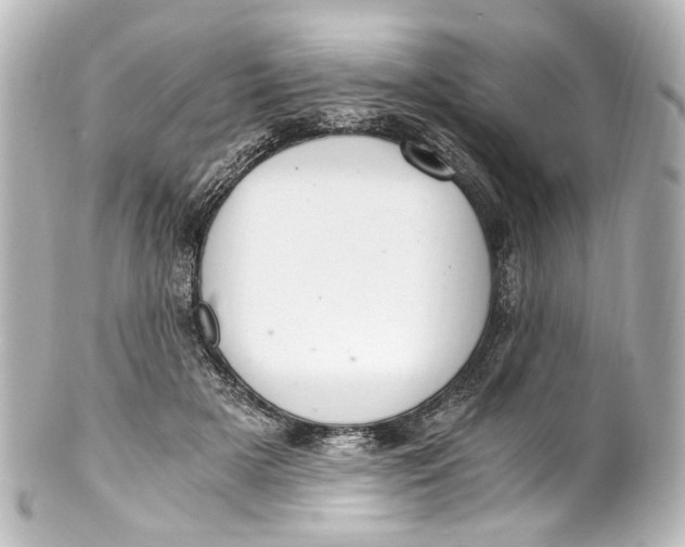 X0000101440505200807281026