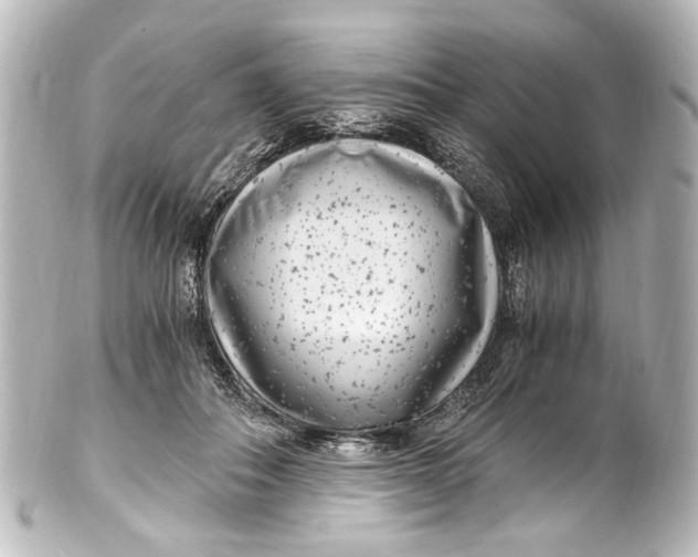 X0000101440506200807281026