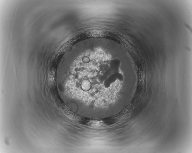 X0000101440507200807281026