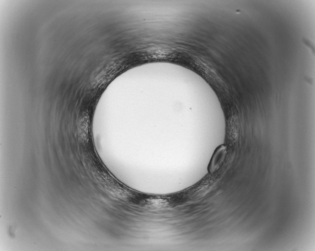 X0000101440509200807281026