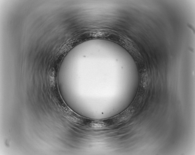 X0000101440510200807281026