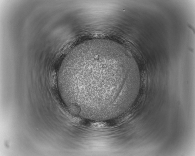 X0000101440511200807281026