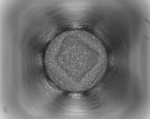 X0000101440512200807281026