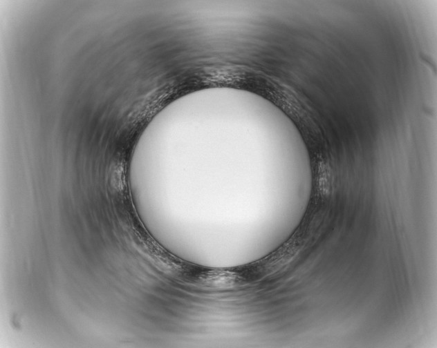 X0000101440514200807281025