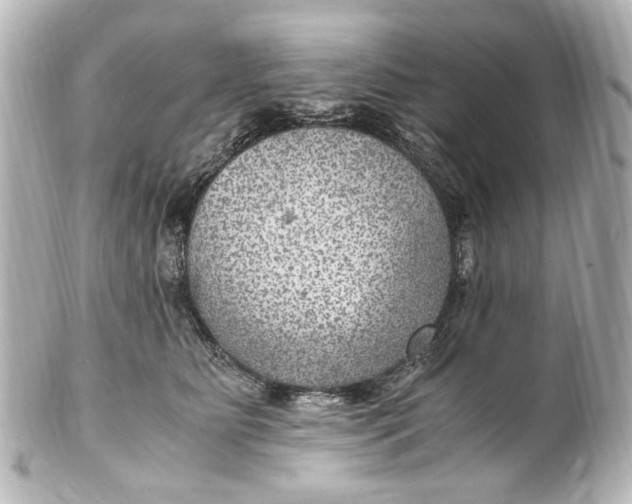 X0000101440515200807281025