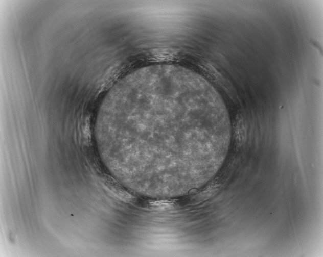 X0000101440516200807281025