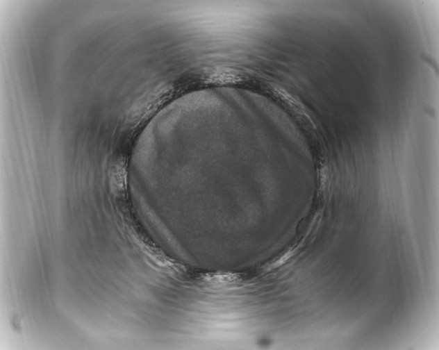 X0000101440517200807281025