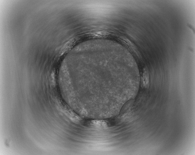 X0000101440520200807281025