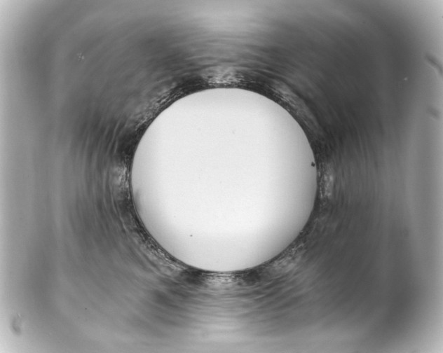 X0000101440521200807281025