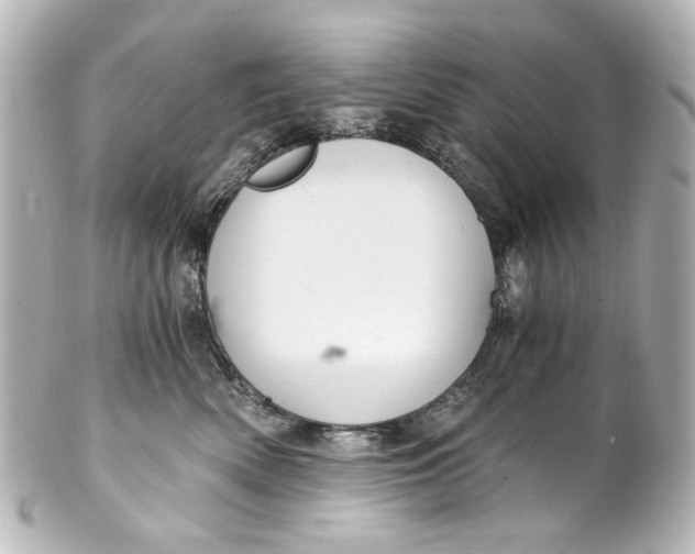 X0000101440522200807281025