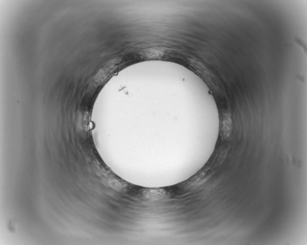 X0000101440525200807281025