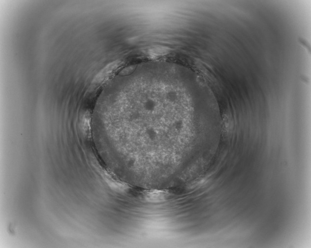 X0000101440527200807281025