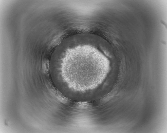 X0000101440528200807281025