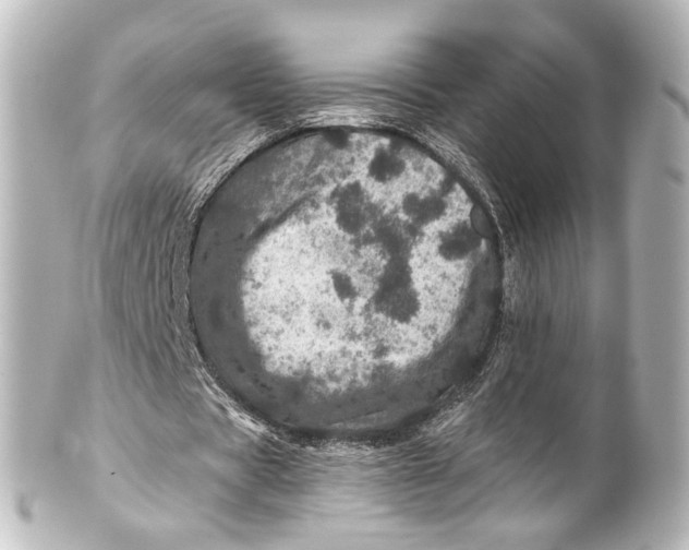 X0000101440529200807281025