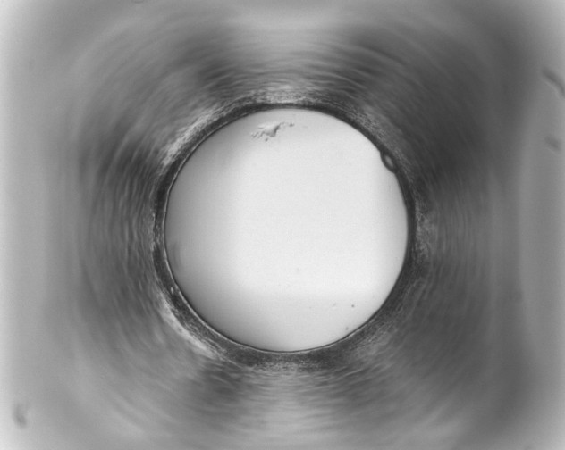 X0000101440530200807281025