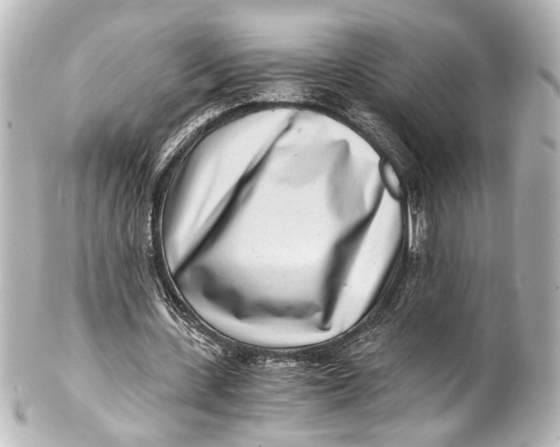 X0000101440531200807281025