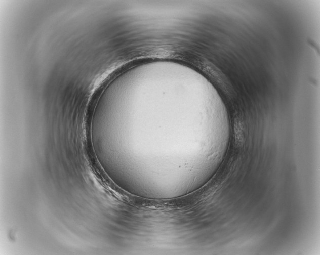 X0000101440532200807281025